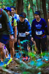 BIB: 013, 1524, 1383
                            <button type="button" onclick="openModal(19360107)" class="btn btn-primary btn-sm float-right btn-popup" data-toggle="modal" data-target=".modal-high-quality">
                        <i class="fas fa-shopping-cart"></i> Add to Cart
                    </button>
                                            <button type="button" onclick="isThisMe(19360107, true)" class="btn btn-success btn-sm float-right btn-popup btn-isme hidden" data-toggle="tooltip" data-placement="bottom" title="นี่คือรูปของคุณใช่ไหม คลิกที่นี่เพื่อเอาเข้าอัลบั้ม">
                        <i class="fas fa-plus"></i> Add to album
                    </button>
                    <button type="button" onclick="isThisMe(19360107, false)" class="btn btn-warning btn-sm float-right btn-popup btn-isnotme hidden">
                        <i class="fas fa-ban"></i> Remove from album
                    </button>